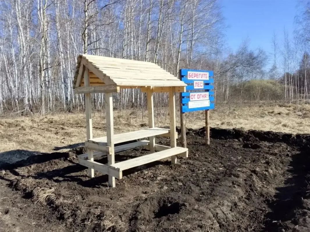 В лесах установили 198 зон отдыха В лесах установили 198 зон отдыха