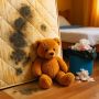 Как победить запахи в доме: секреты борьбы с плесенью и шерстью домашних любимцев