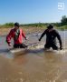 Доброе утро, омичи!. Начнем день с прекрасных новостей, чтобы зарядиться хорошим настроением перед рабочей неделей