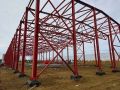 Виталий Хоценко: в Лузино строят круглогодичный тепличный комплекс за 10 млрд рублей