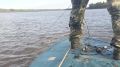 В Омской области рыбак уличен в добыче стерляди с использованием самоходного транспортного плавающего средства