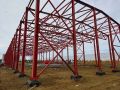 В Лузино строят круглогодичный тепличный комплекс
