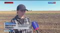 После непродолжительной паузы омские аграрии вернулись на поля