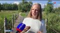 В парке имени 30-летия ВЛКСМ сегодня приступили к обработке озера специальными препаратами
