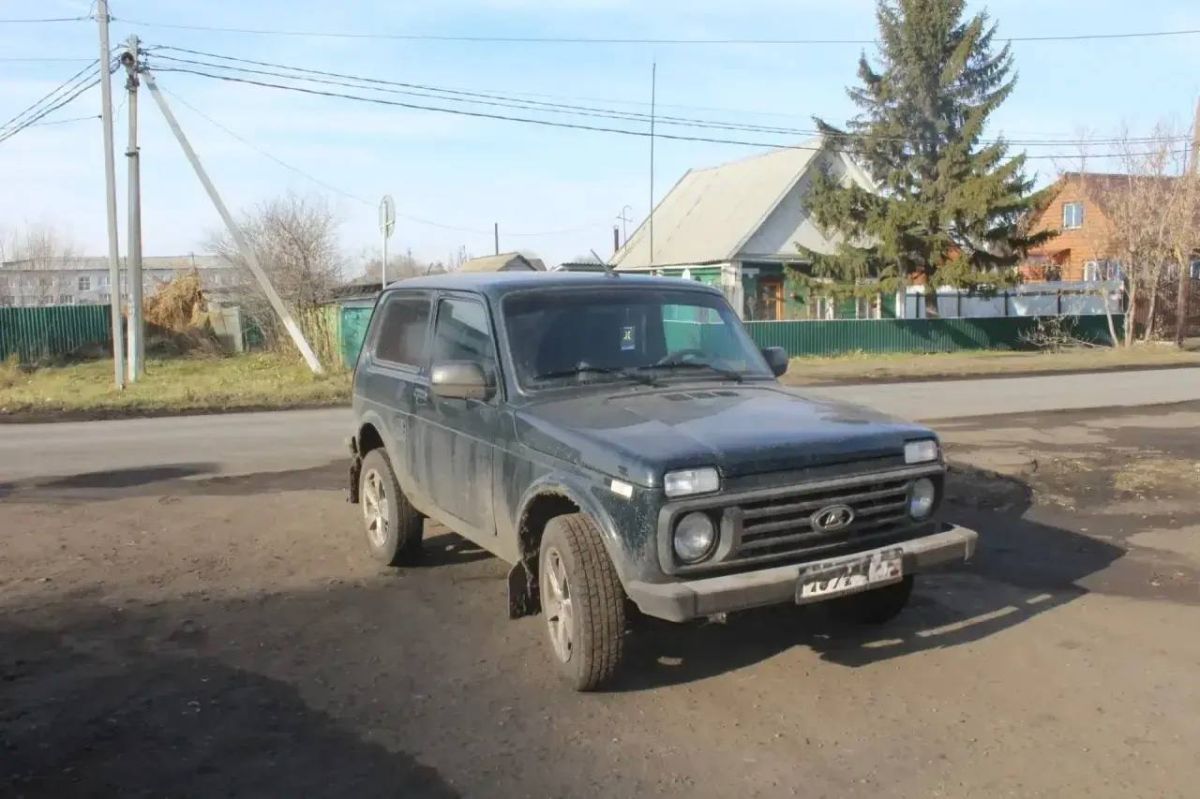 В Оконешниковском районе вынесен приговор двум местным жителям за незаконную охоту на лося В Оконешниковском районе вынесен приговор двум местным жителям за незаконную охоту на лося