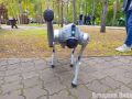 Омск готовится к третьему фестивалю цифровых технологий OM FEST