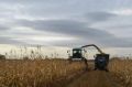 Виталий Хоценко: аграрии Омской области собрали более 1,5 млн тонн зерна