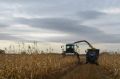 Урожайная страда продолжается в Омской области