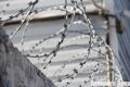 Омич получил два года колонии строгого режима за букеты для невест