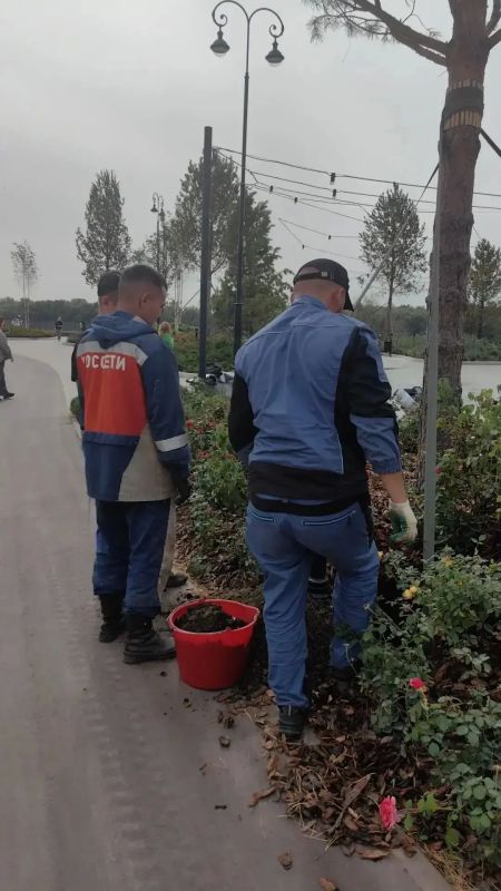 На набережной Омской крепости восстановили клумбы На набережной Омской крепости восстановили клумбы
