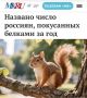 «Названо число россиян, покусанных белками за год»: За последний год белки покусали более 500 россиян