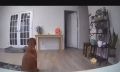 ���������� ���� �������: �������� �������� ������� ����