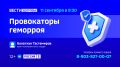 «Провокаторы геморроя» — тема нового выпуска программы «Вести Здоровье»