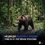 Медведи вышли к людям уже в 41 регионе России