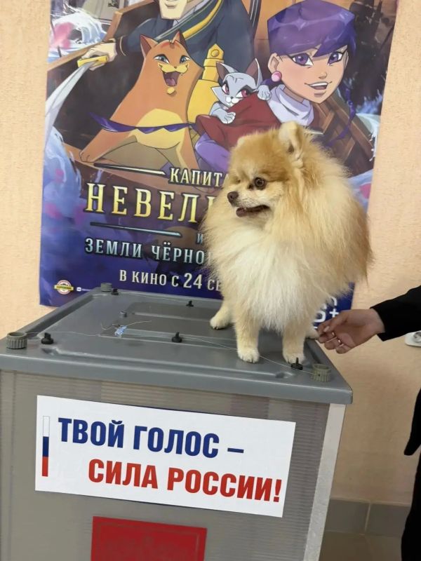 С песнями, танцами и хорошим настроением приходят омичи на избирательные участки С песнями, танцами и хорошим настроением приходят омичи на избирательные участки