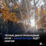 Тёплые дни и прохладные ночи — какая погода ждёт омичей