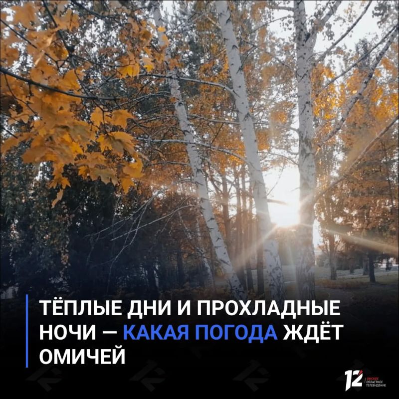 Тёплые дни и прохладные ночи — какая погода ждёт омичей