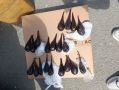 Омские пограничники изъяли 51 желчный пузырь медведя
