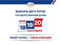 Предварительные итоги выборов-2026 в Омской области