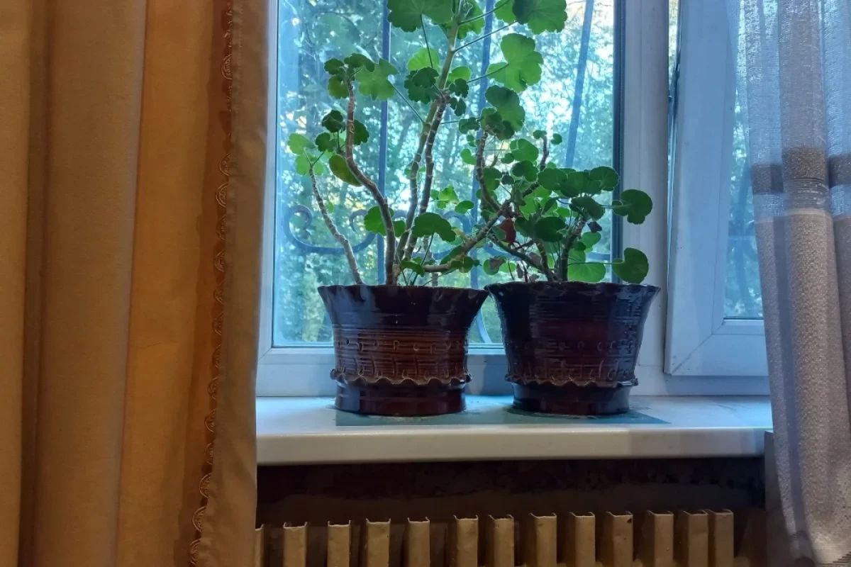Стало известно, когда отопление включат в квартирах Омска
