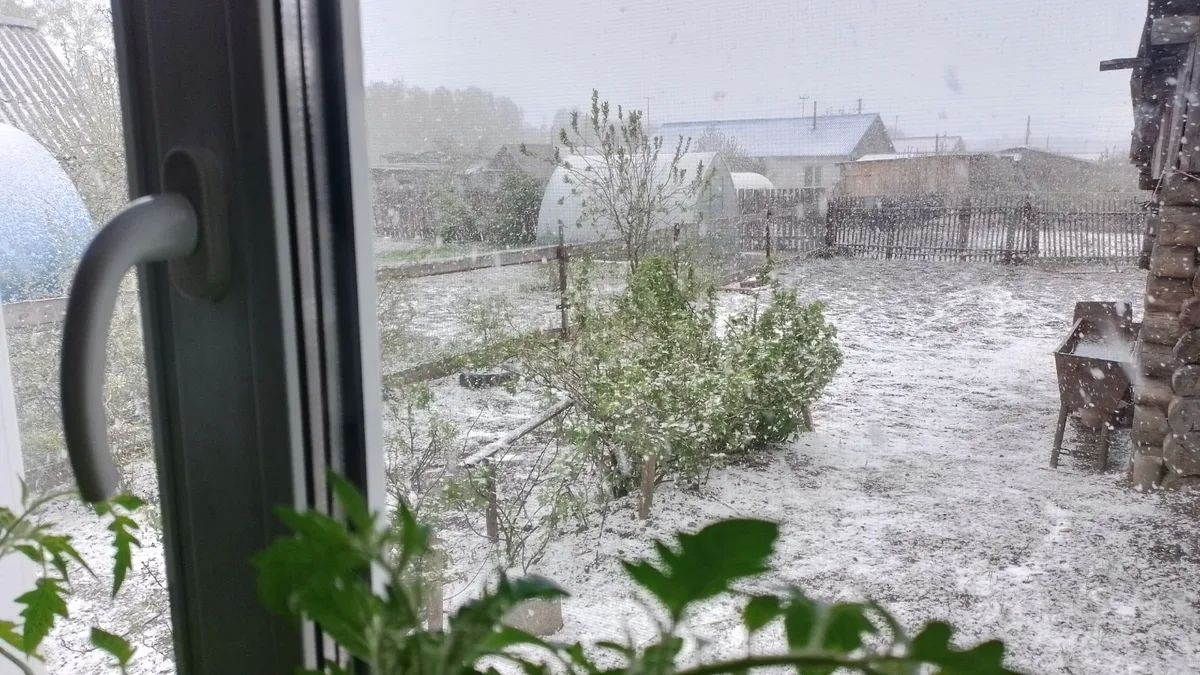 Утренний дайджест: 17 новостей