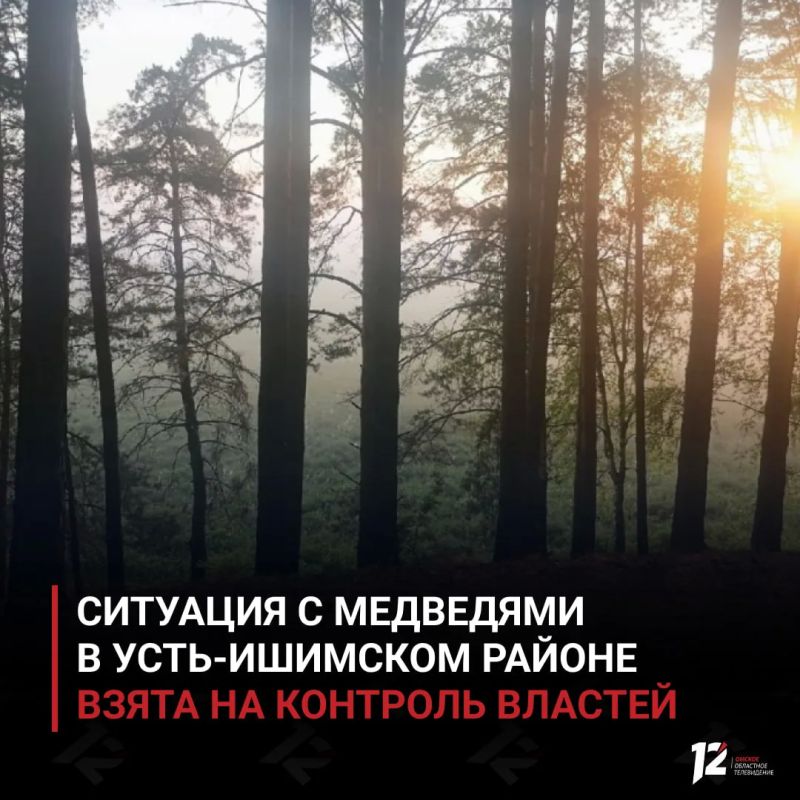 Ситуация с медведями в Усть-Ишимском районе взята на контроль властей