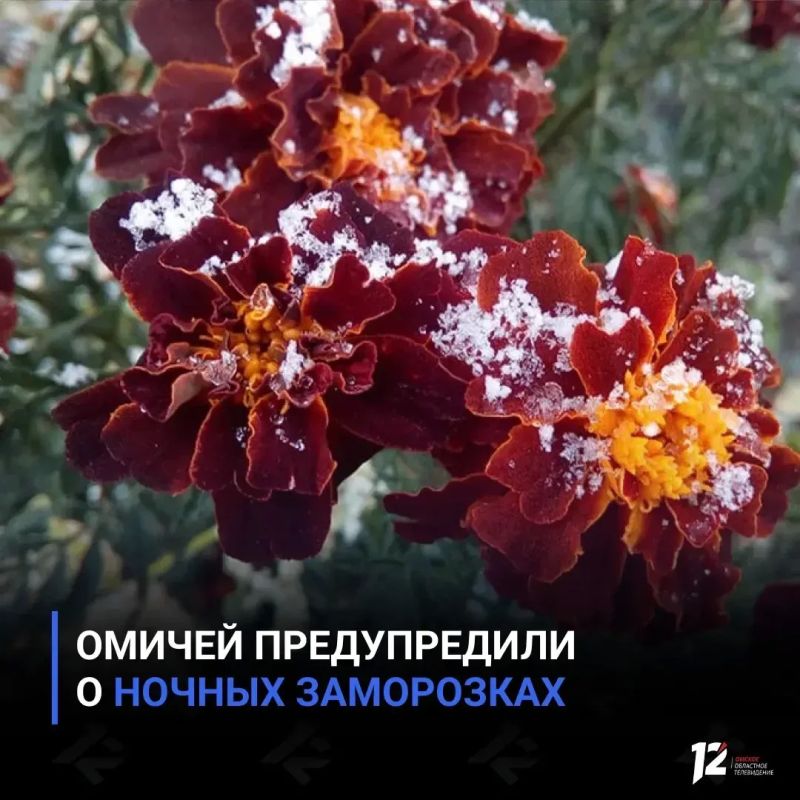 Омичей предупредили о ночных заморозках