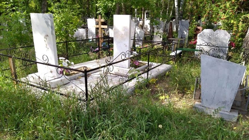 Утренний дайджест: 20 новостей