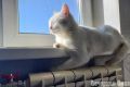 Омская область активно входит в отопительный сезон