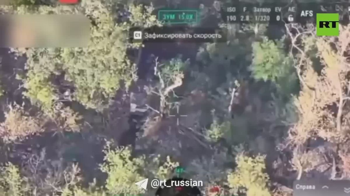 В Запорожской области артиллеристы уничтожили сеть опорных пунктов ВСУ — это создало условия для дальнейшего продвижения подразделений группировки войск «Восток», сообщает Минобороны РФ