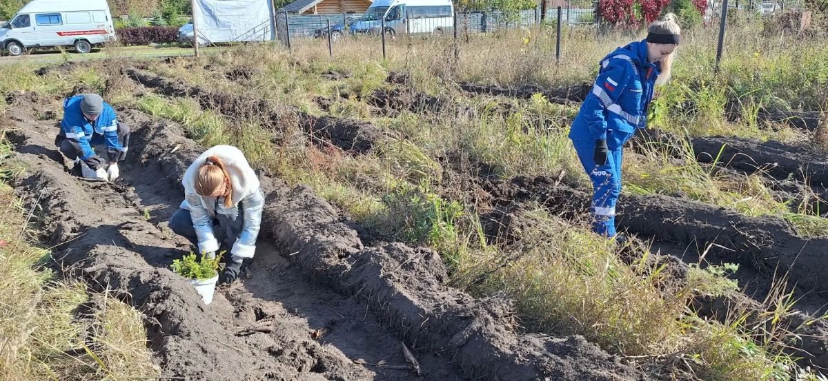 Центральное мероприятие акции «Сохраним лес» провели в Азово Центральное мероприятие акции «Сохраним лес» провели в Азово
