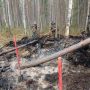 Борьба с лесными пожарами в Омской области ведется с помощью техники, полученной в разные годы по нацпроекту «Экологическое благополучие» и предшествовавшему ему нацпроекту «Экология»