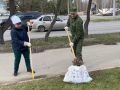 Напоминаем о правилах утилизации мусора
