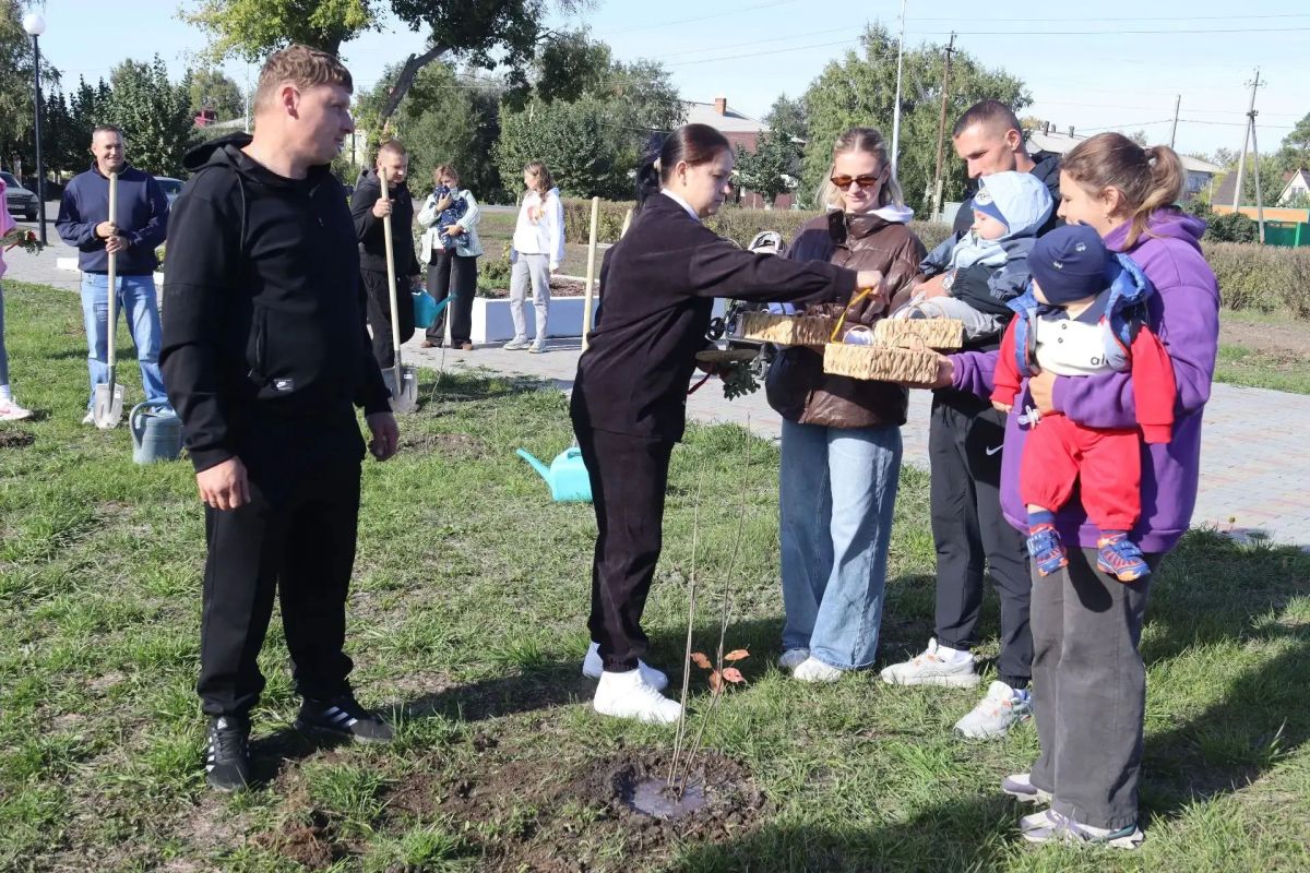 В Полтавке разрастается рябиновая аллея молодожёнов: местные жители второй год подряд красиво увековечивают дату создания своей семьи В Полтавке разрастается рябиновая аллея молодожёнов: местные жители второй год подряд красиво увековечивают дату создания своей семьи