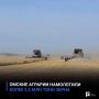 Омские аграрии намолотили более 2,5 млн тонн зерна
