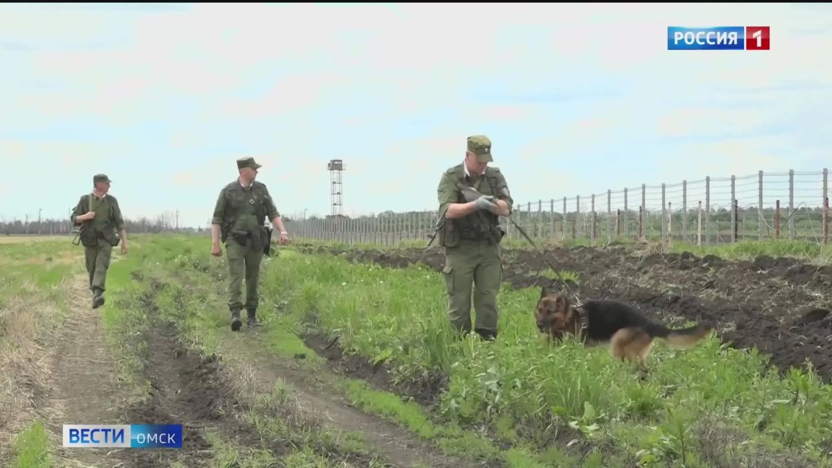 В Омской области предотвратили въезд сторонников экстремистских и террористических организаций