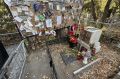 На могиле Егора Летова устранили следы осквернения