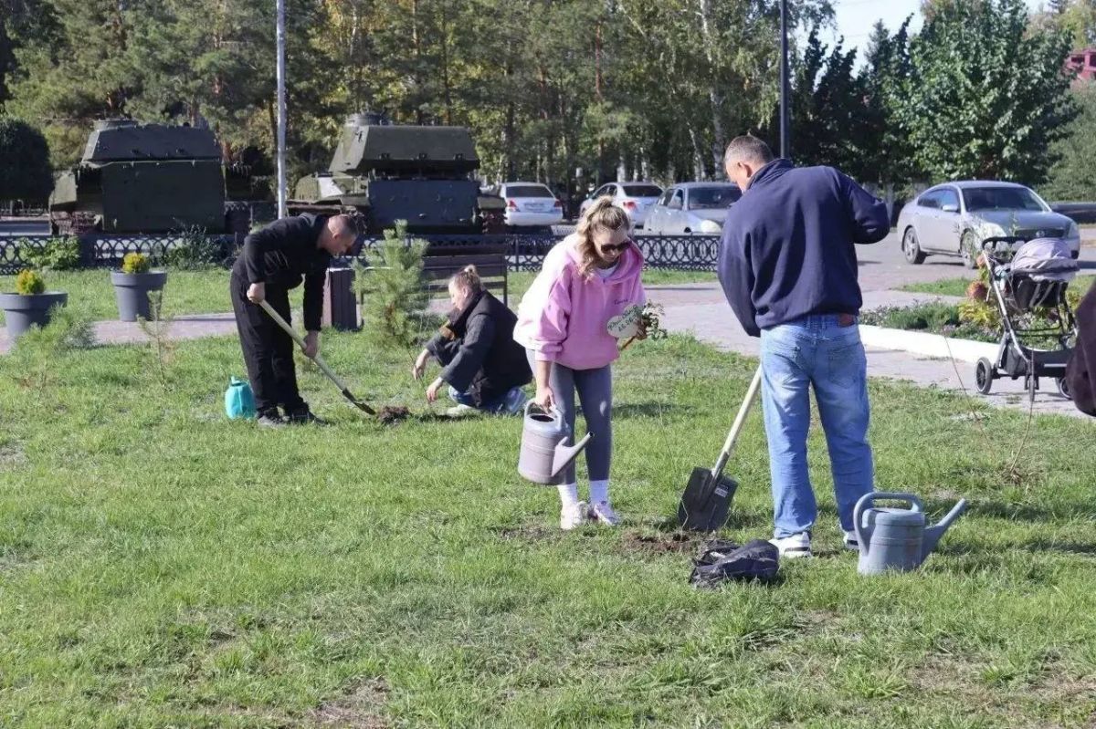 В Полтавке появилась новая часть аллеи молодожёнов В Полтавке появилась новая часть аллеи молодожёнов