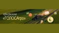 Программа «ГОЛОСАгро». Программа предназначена для сотрудников региональных органов управления АПК, представителей органов местного самоуправления, руководителей предприятий АПК, отраслевых союзов и ассоциаций, фермеров...
