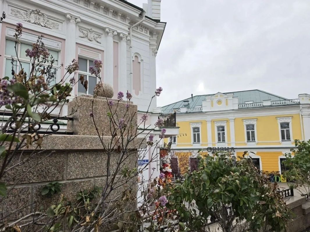 В Омске на Любинском проспекте зацвела сирень
