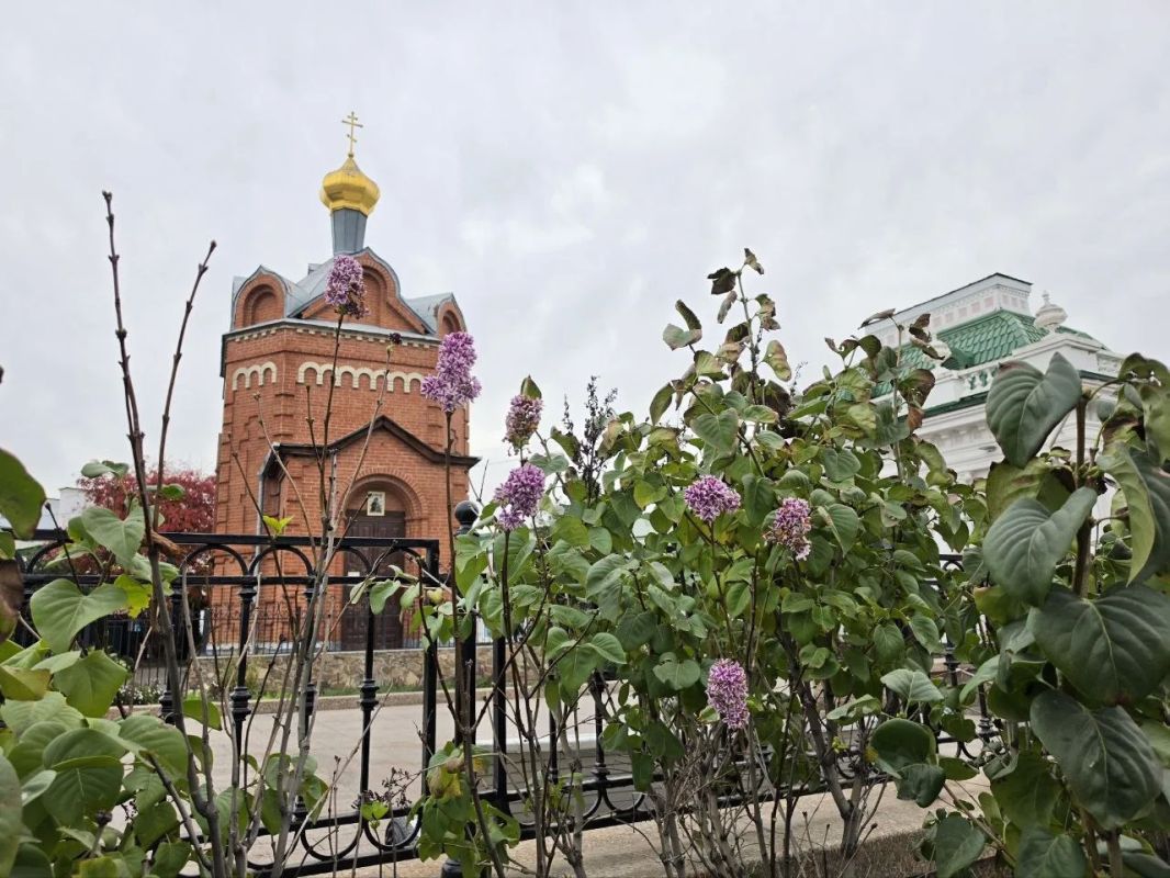 Сирень решила, что осень в Омске отменяется