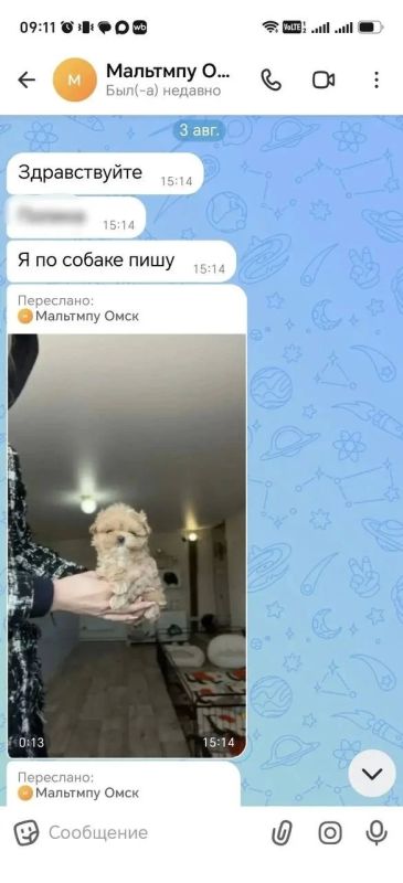 Давя на жалость смертью несуществующей дочери, омская мошенница продавала несуществующих щенят Давя на жалость смертью несуществующей дочери, омская мошенница продавала несуществующих щенят