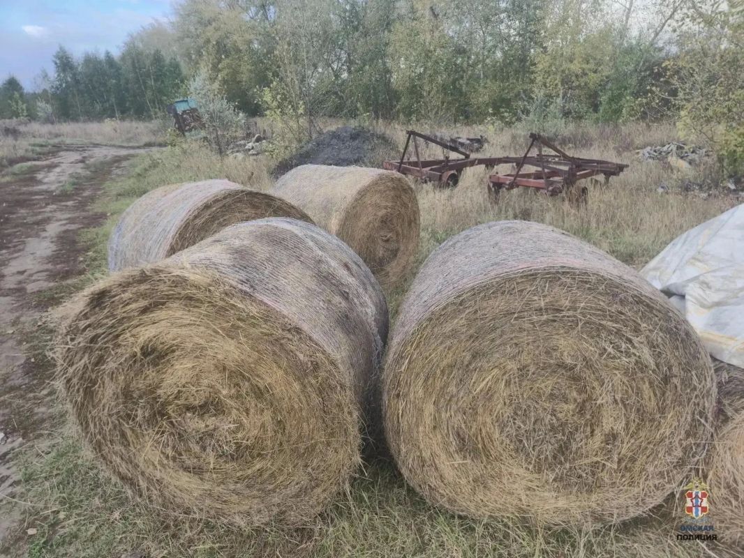 В Омской области 60-летний мужчина воровал с полей сено для маралов