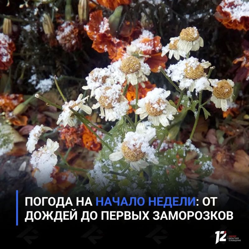 Погода на начало недели: от дождей до первых заморозков