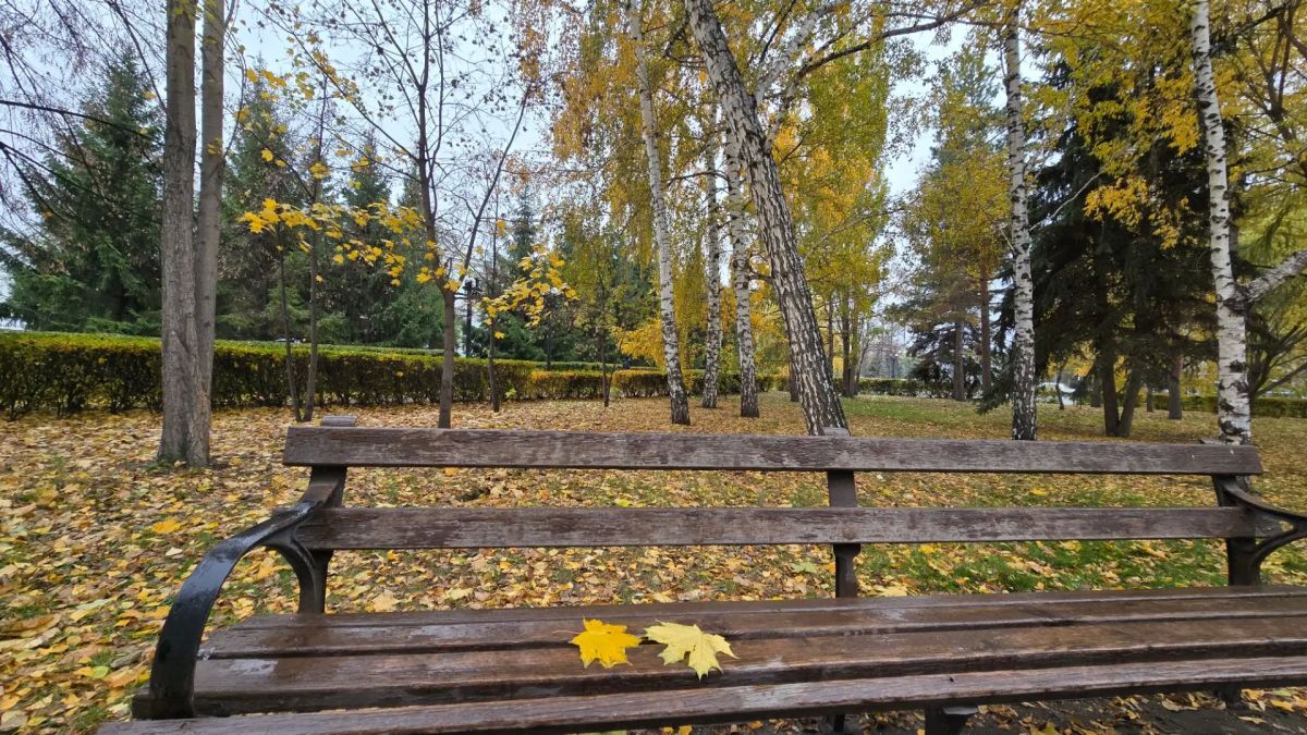 В Культурной столице наступила очаровательно яркая осенняя пора - самое время прогуляться по улицам любимого Омска! В Культурной столице наступила очаровательно яркая осенняя пора - самое время прогуляться по улицам любимого Омска!