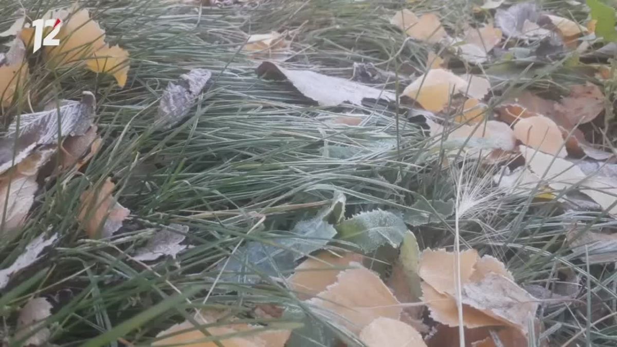Омск проснулся в серебре: этим утром траву укрыл тонкий слой инея