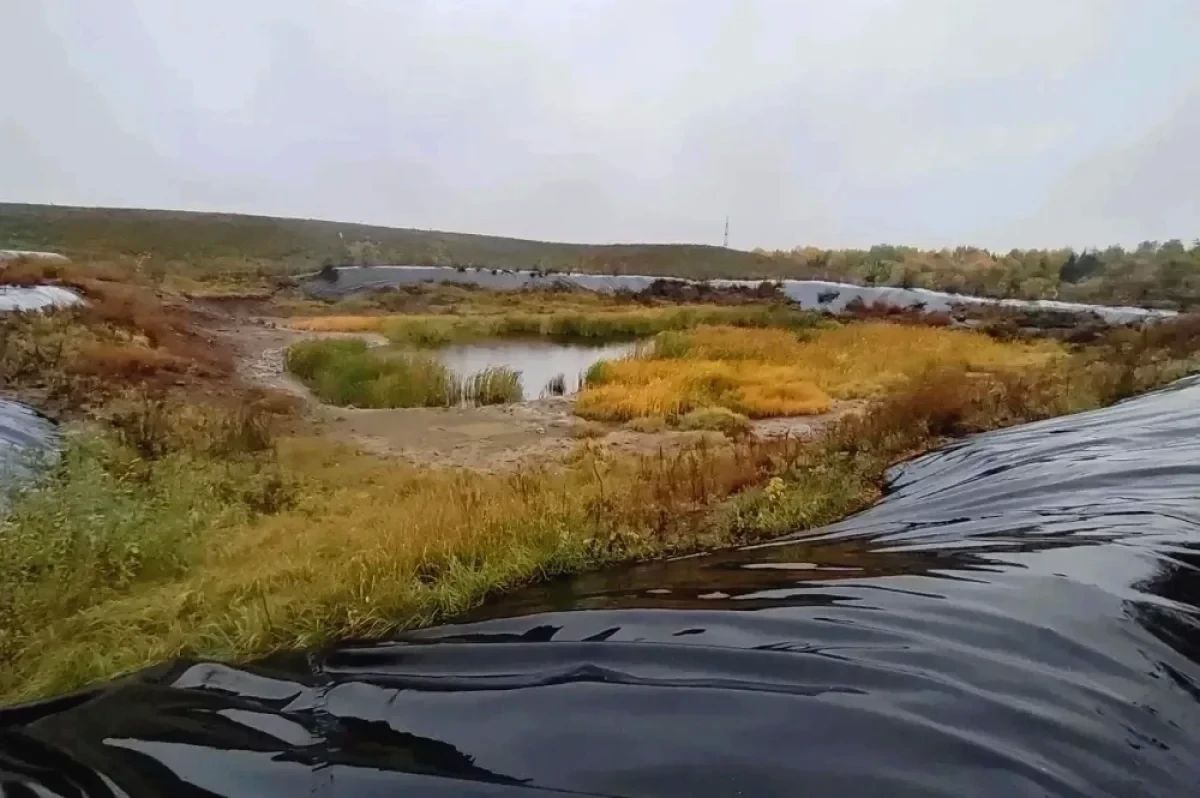 На рекультивированных свалках запустят экологический мониторинг