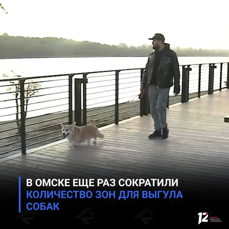В Омске еще раз сократили количество зон для выгула собак