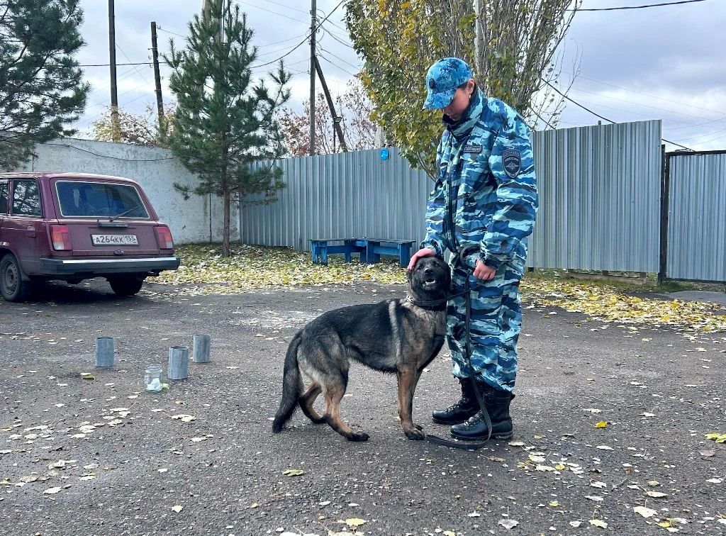 Школьники посетили центр кинологической службы омской полиции Школьники посетили центр кинологической службы омской полиции