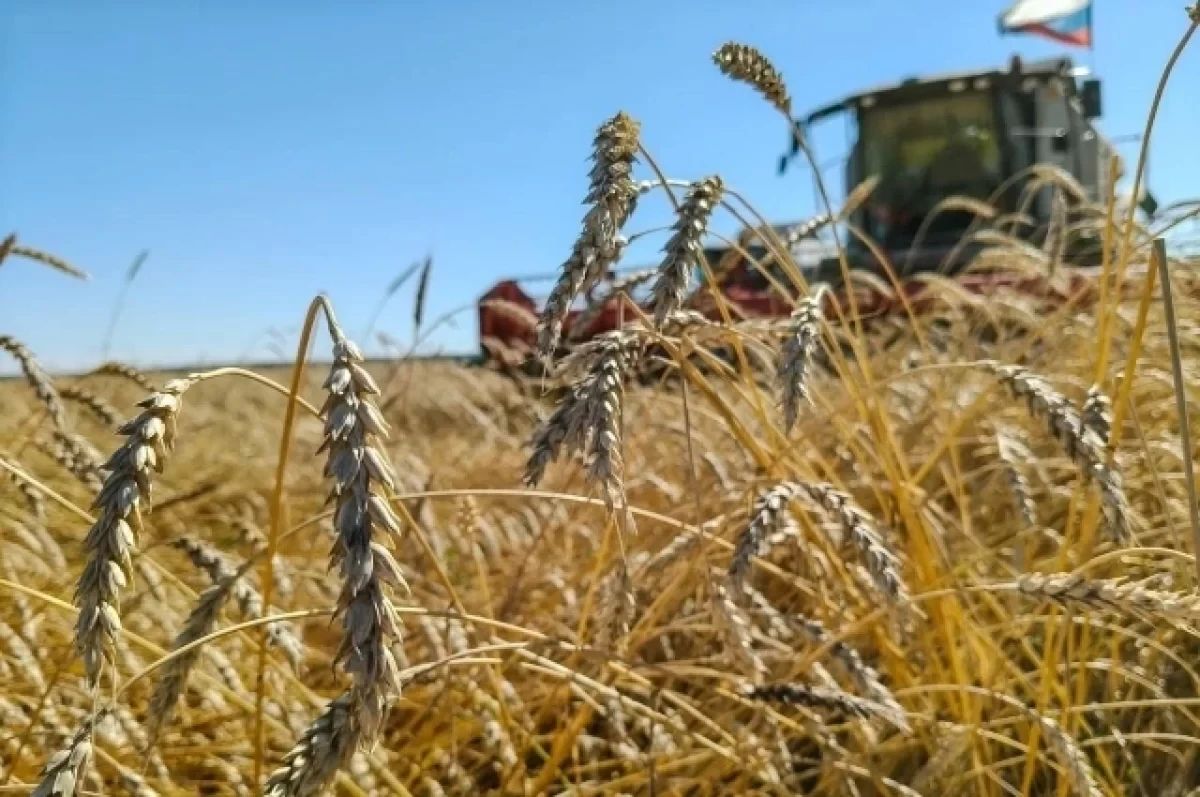 Омские аграрии подводят итоги уборочной кампании
